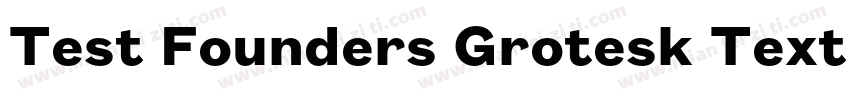 Test Founders Grotesk Text Semibol字体转换